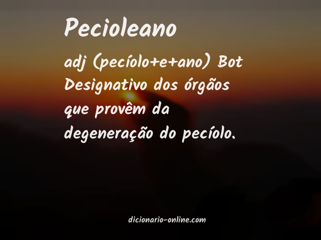 Significado de pecioleano