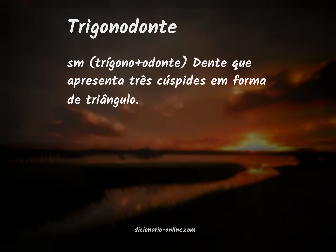 Significado de trigonodonte