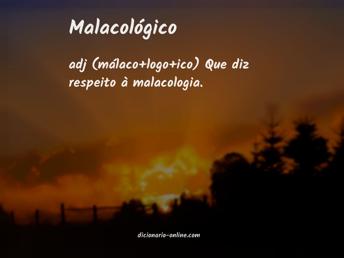 Significado de malacológico