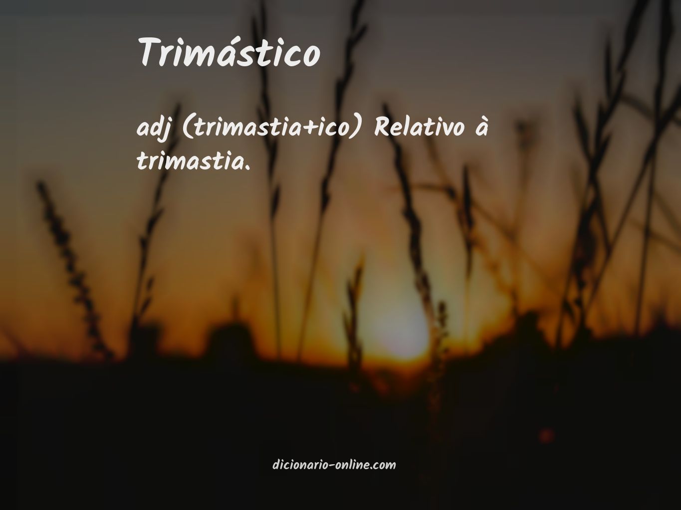 Significado de trimástico