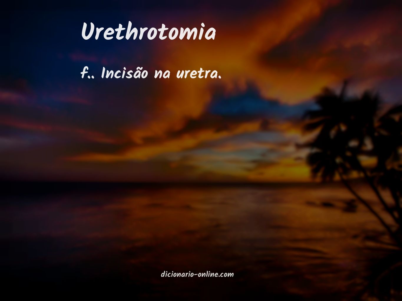Significado de urethrotomia