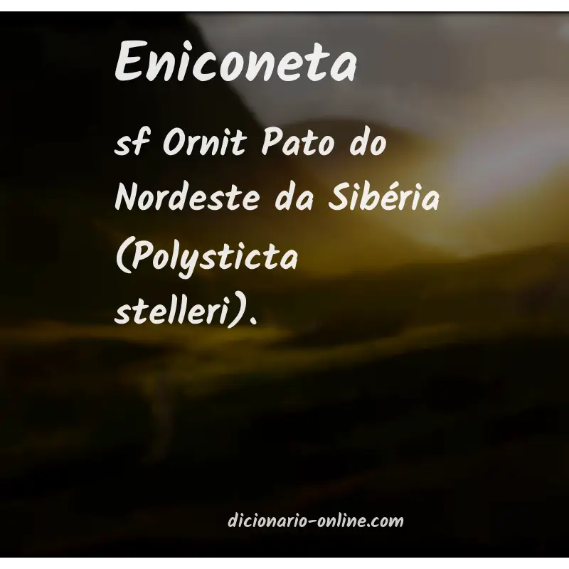 Significado de eniconeta