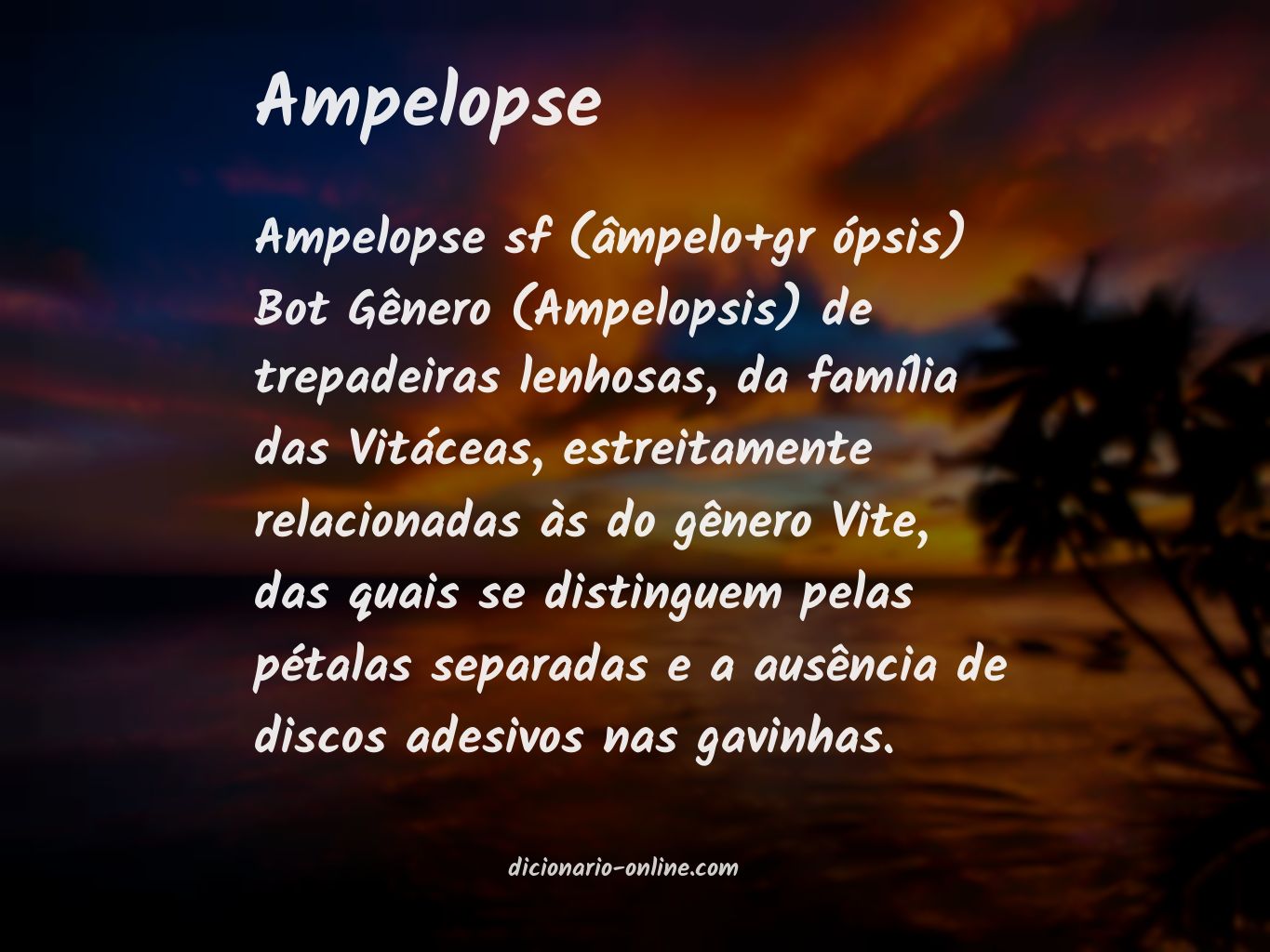 Significado de ampelopse