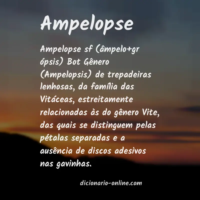 Significado de ampelopse
