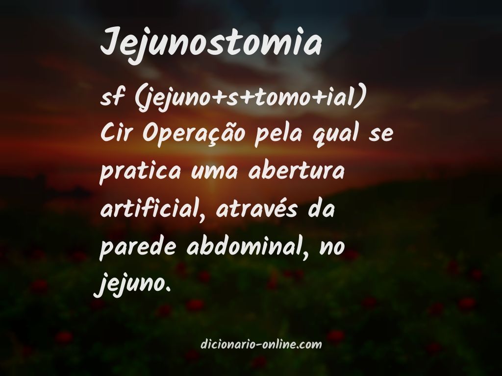 Significado de jejunostomia