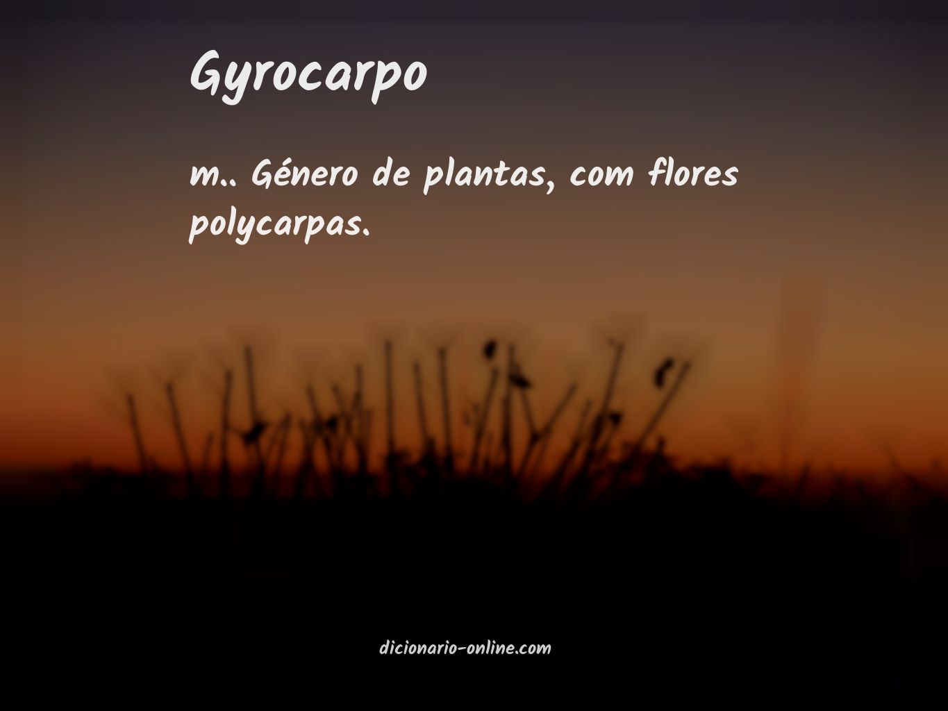 Significado de gyrocarpo