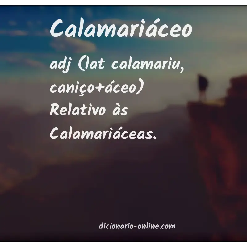 Significado de calamariáceo