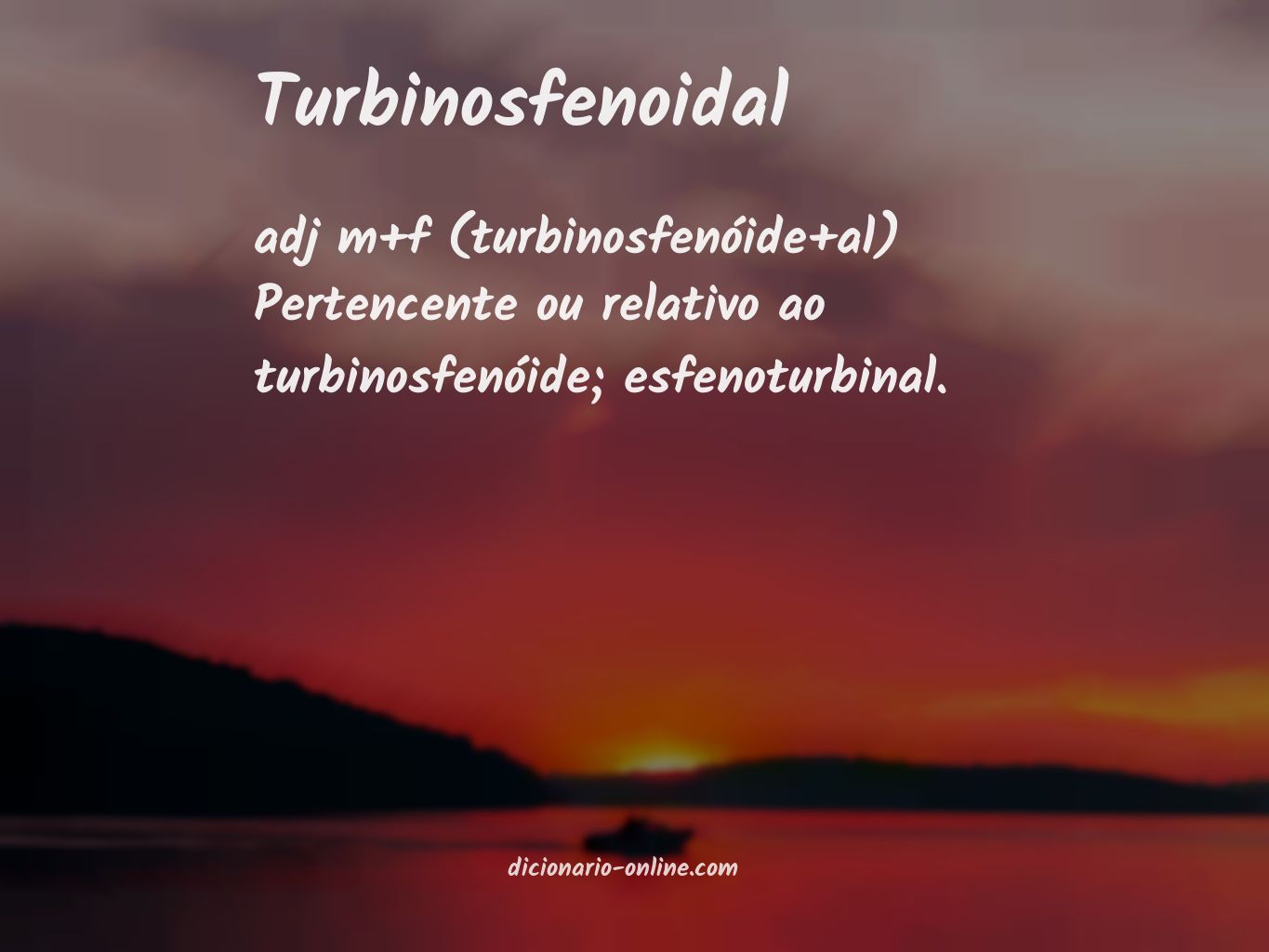 Significado de turbinosfenoidal