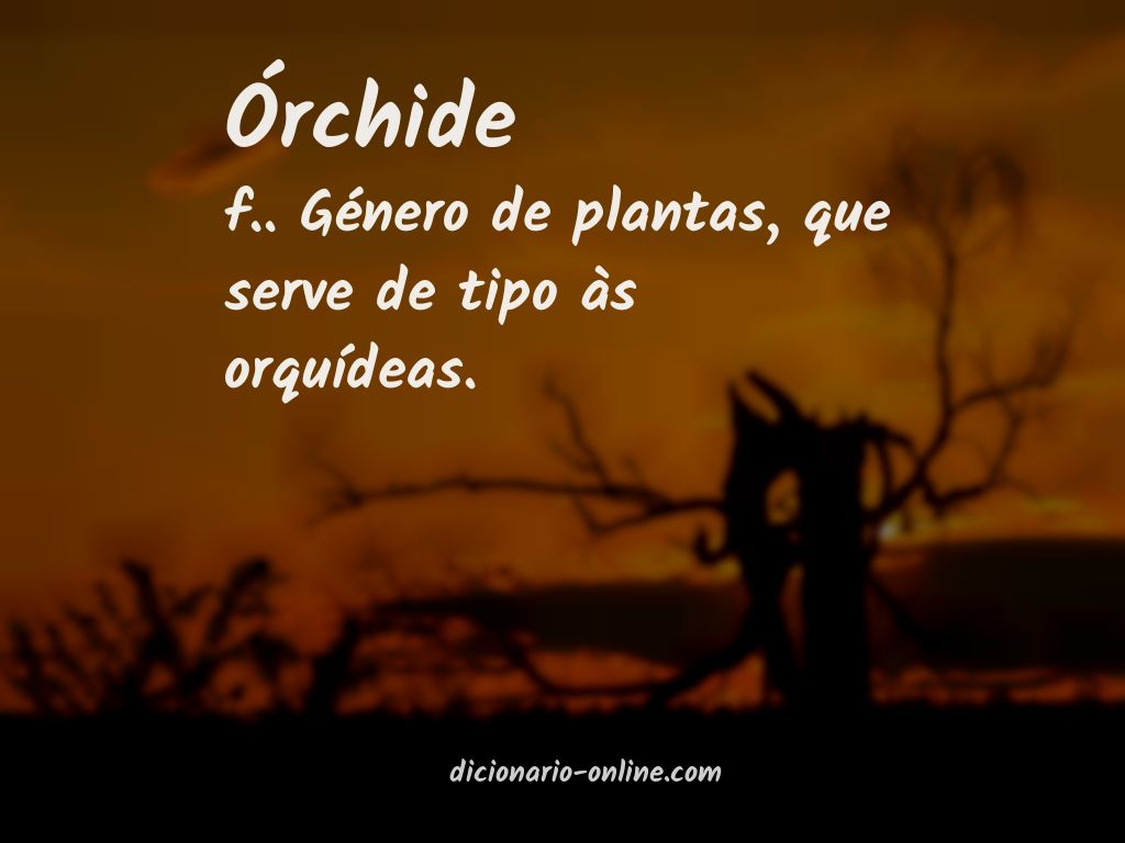 Significado de órchide