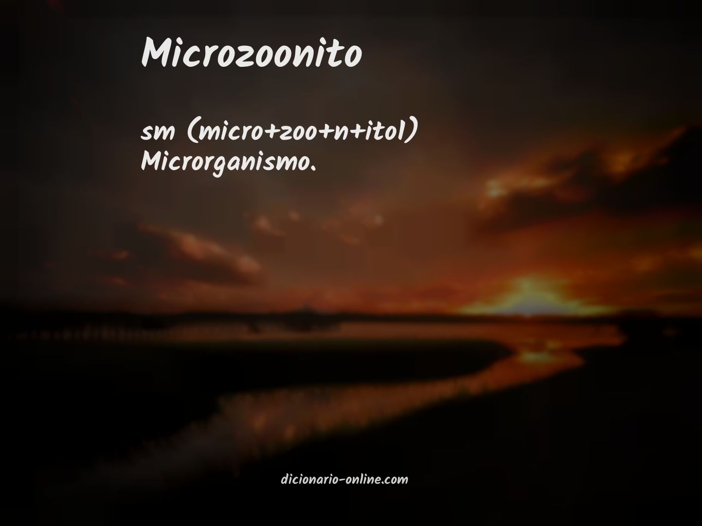 Significado de microzoonito