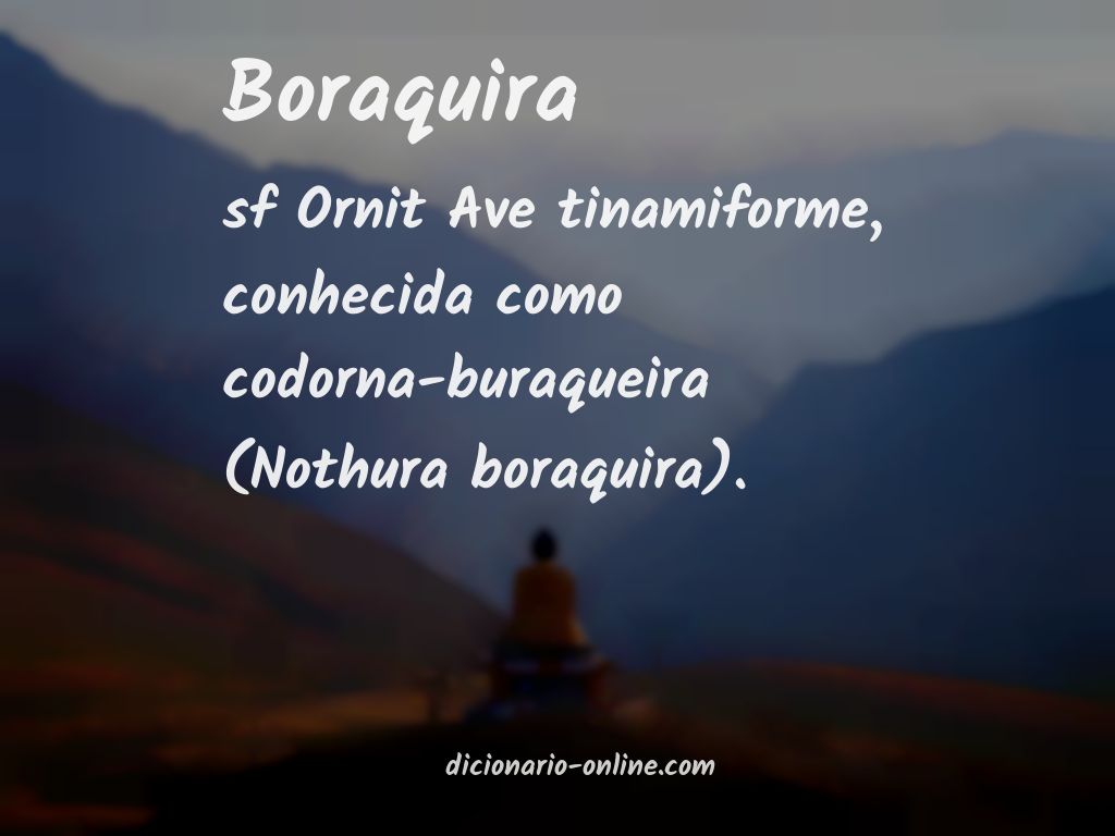 Significado de boraquira