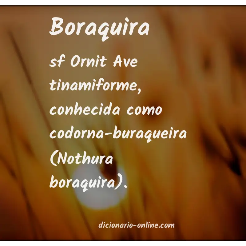 Significado de boraquira