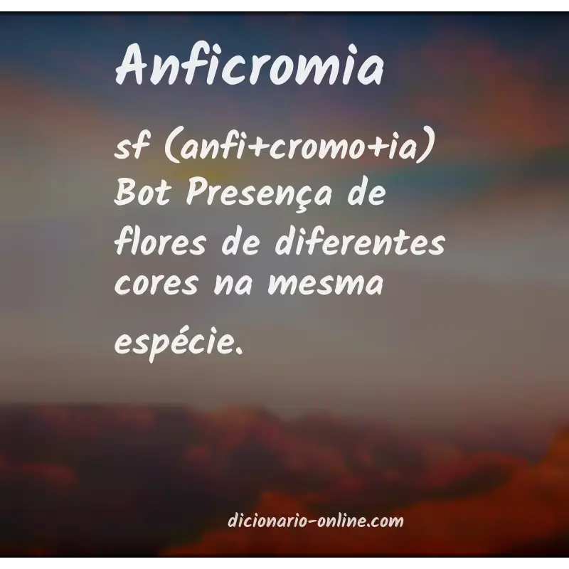 Significado de anficromia