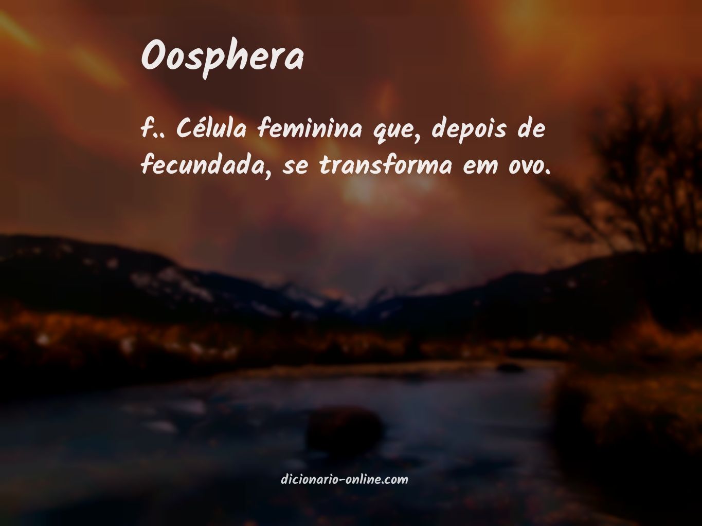 Significado de oosphera