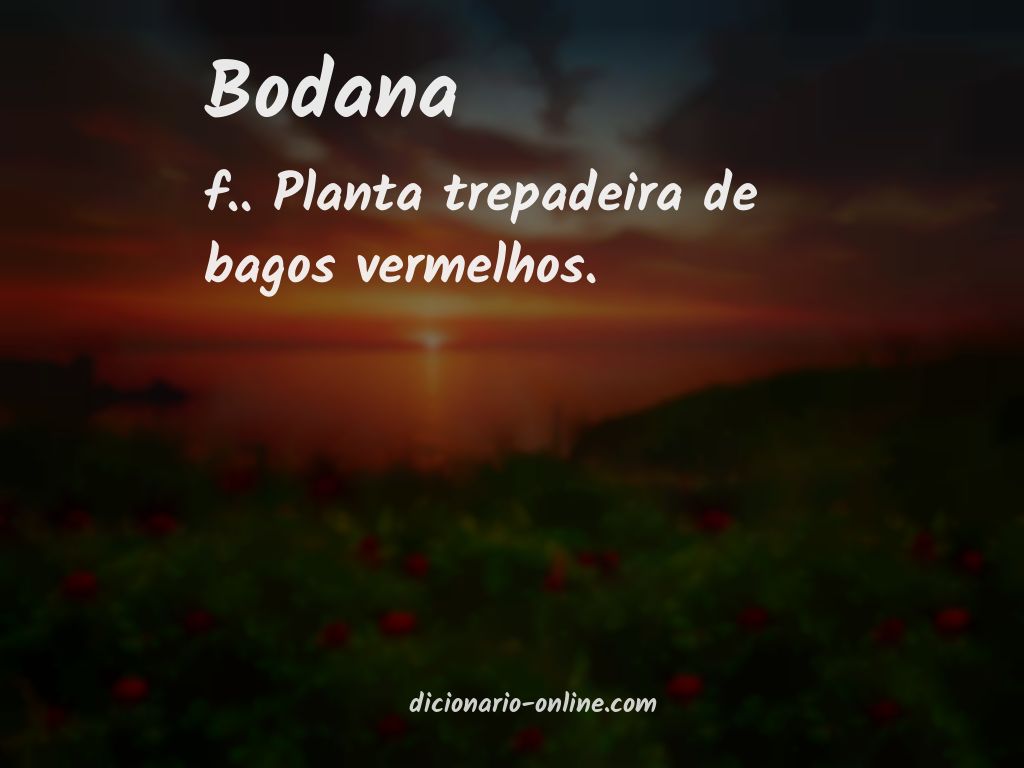 Significado de bodana