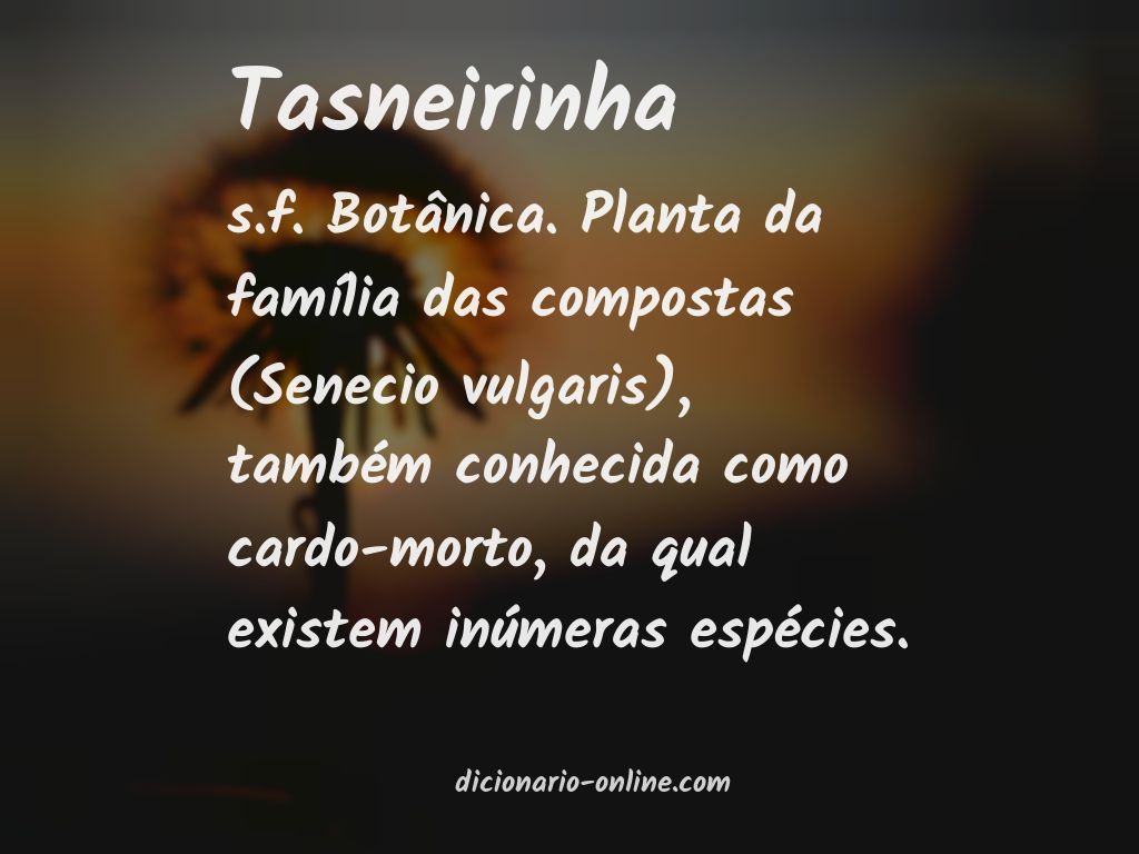 Significado de tasneirinha