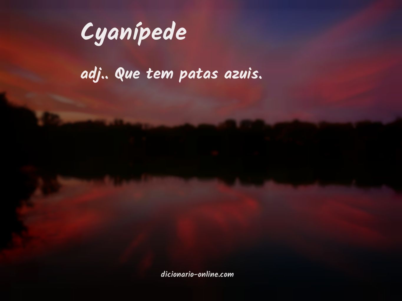 Significado de cyanípede