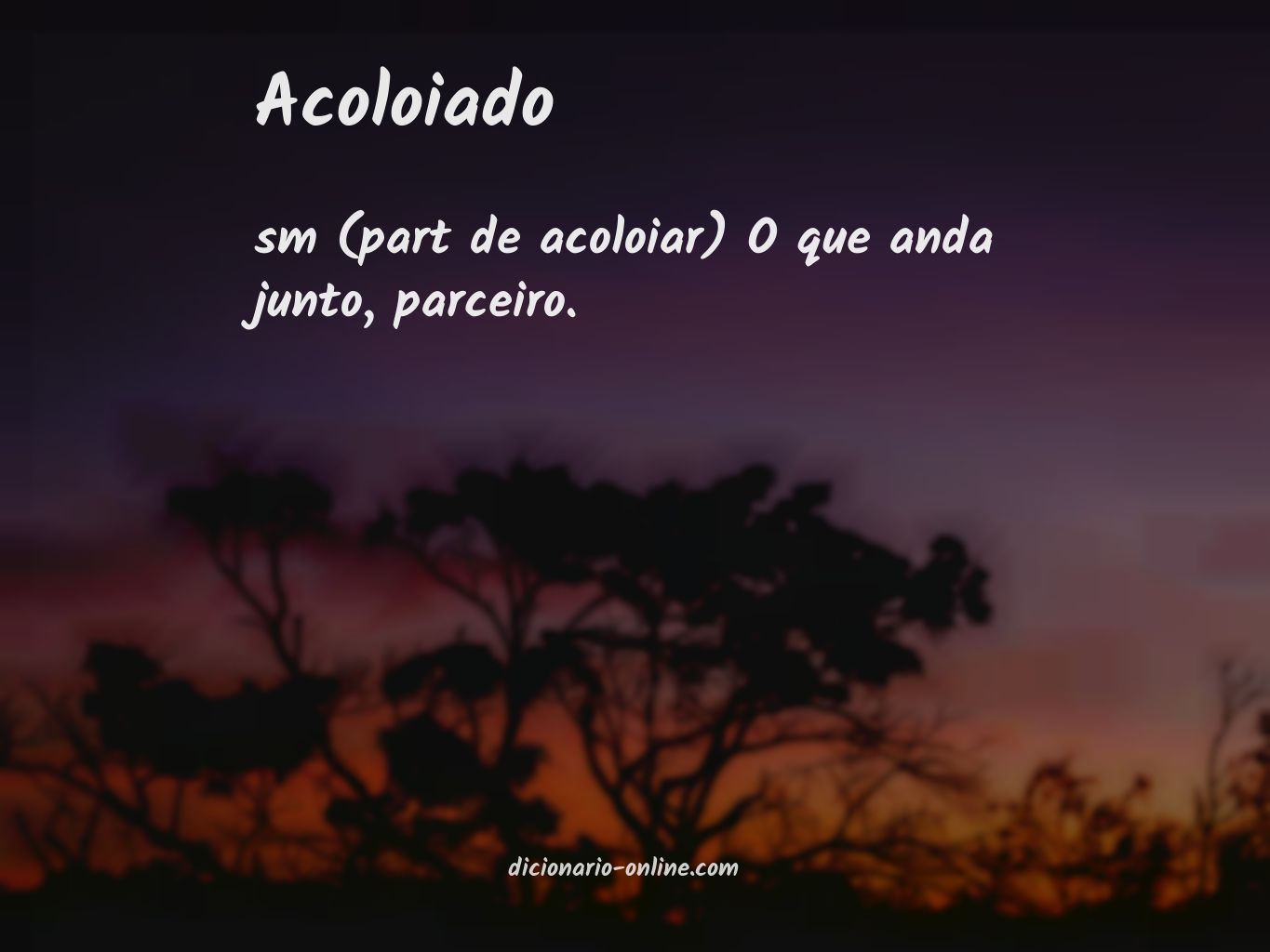 Significado de acoloiado