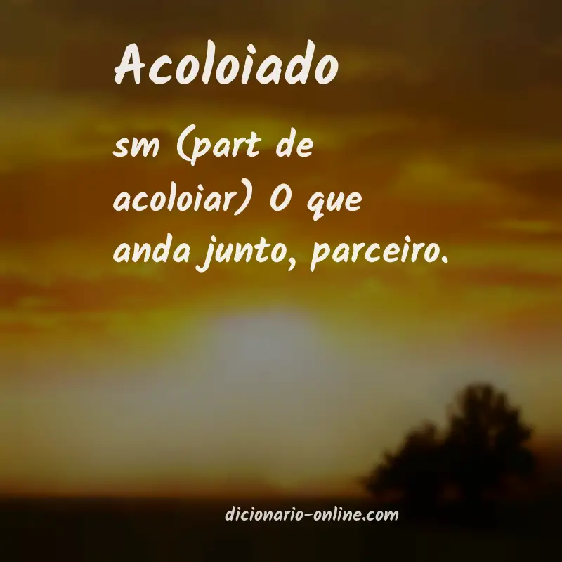 Significado de acoloiado