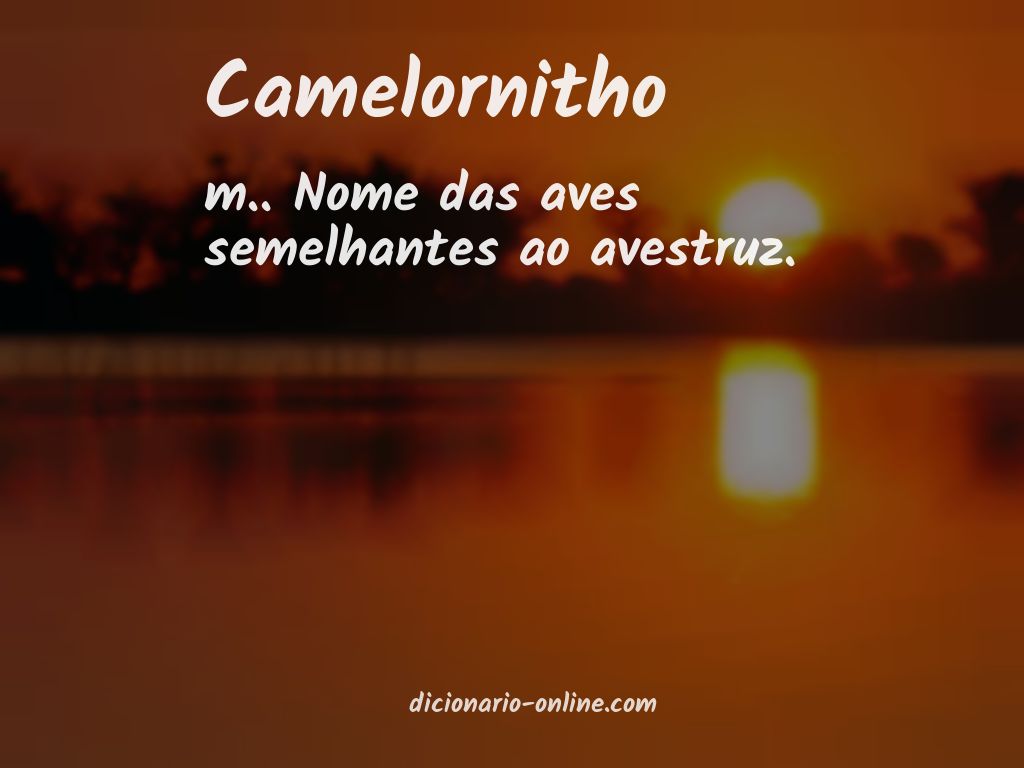 Significado de camelornitho