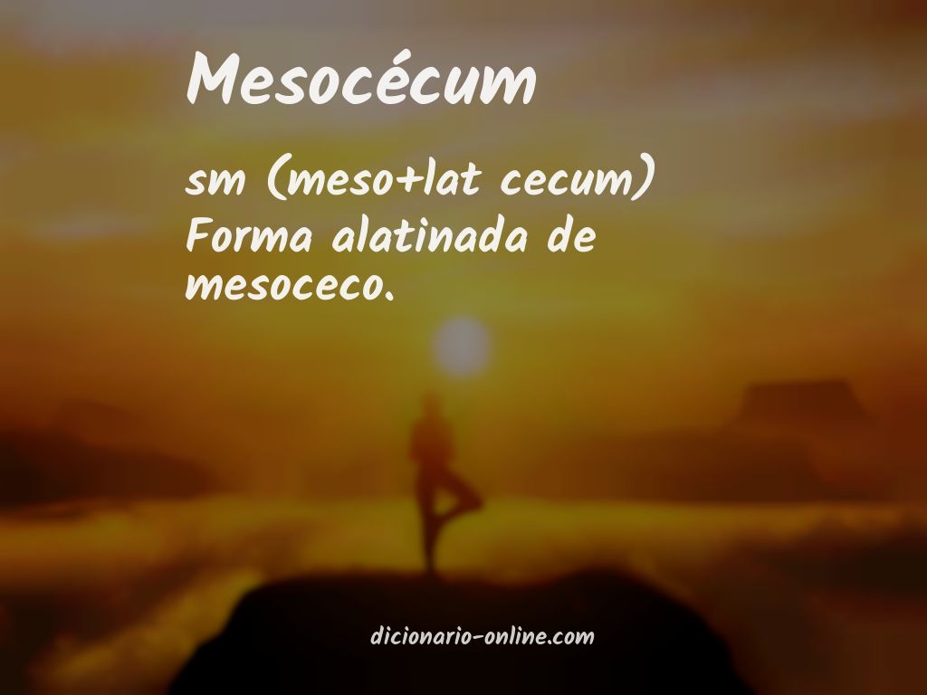 Significado de mesocécum