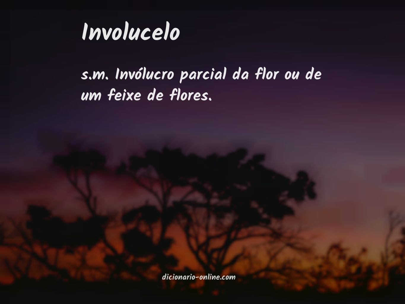 Significado de involucelo