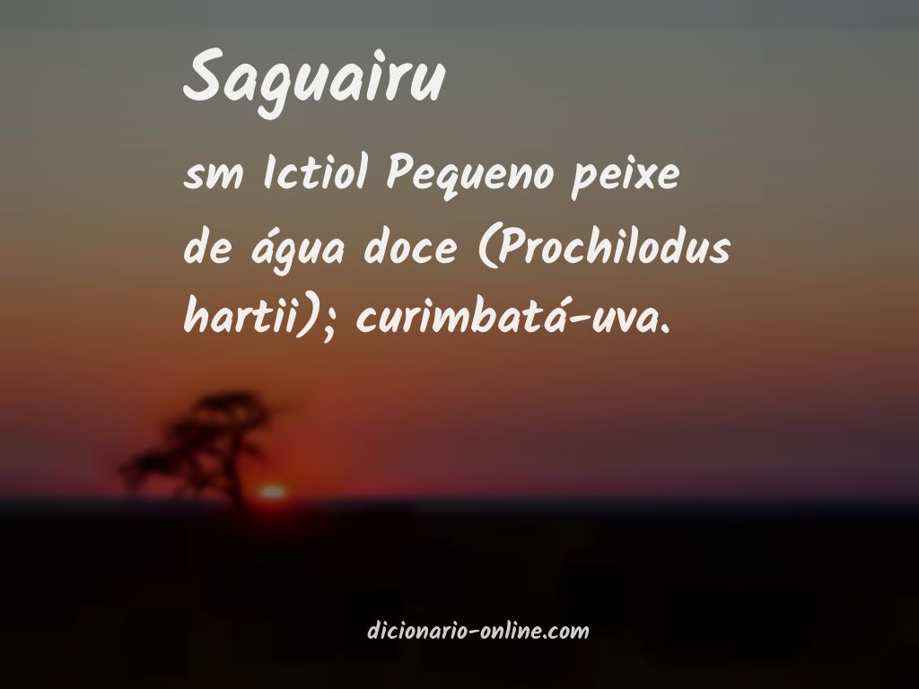 Significado de saguairu