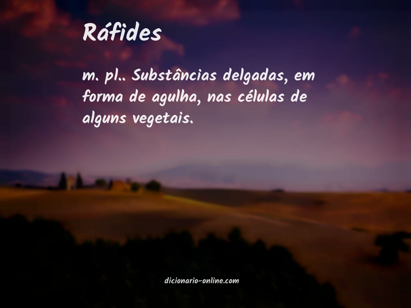 Significado de ráfides