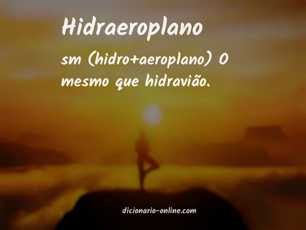 Significado de hidraeroplano