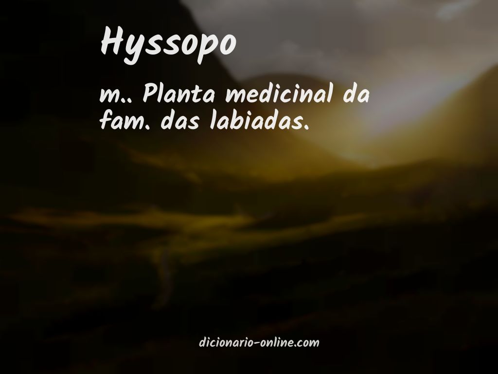 Significado de hyssopo