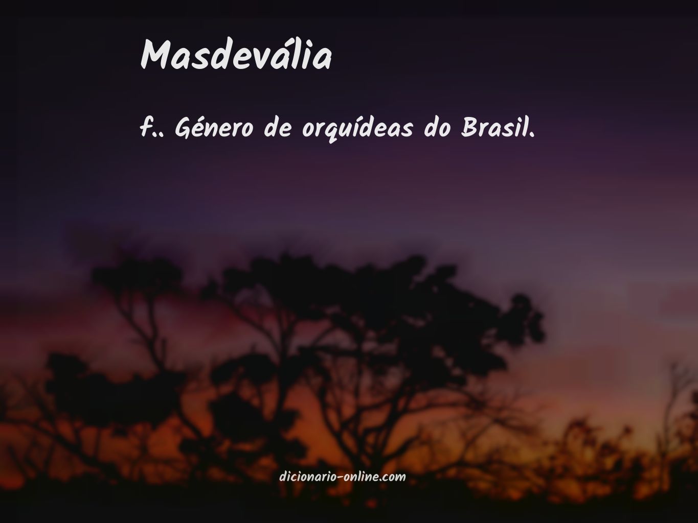 Significado de masdevália