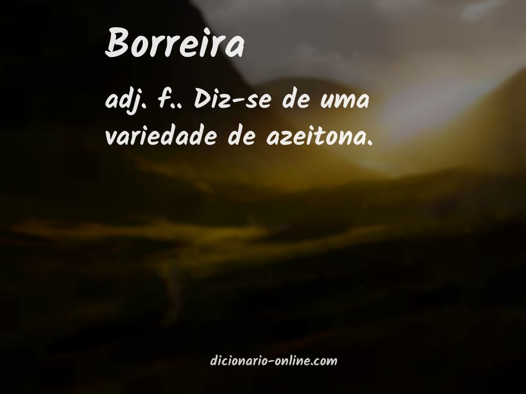 Significado de borreira