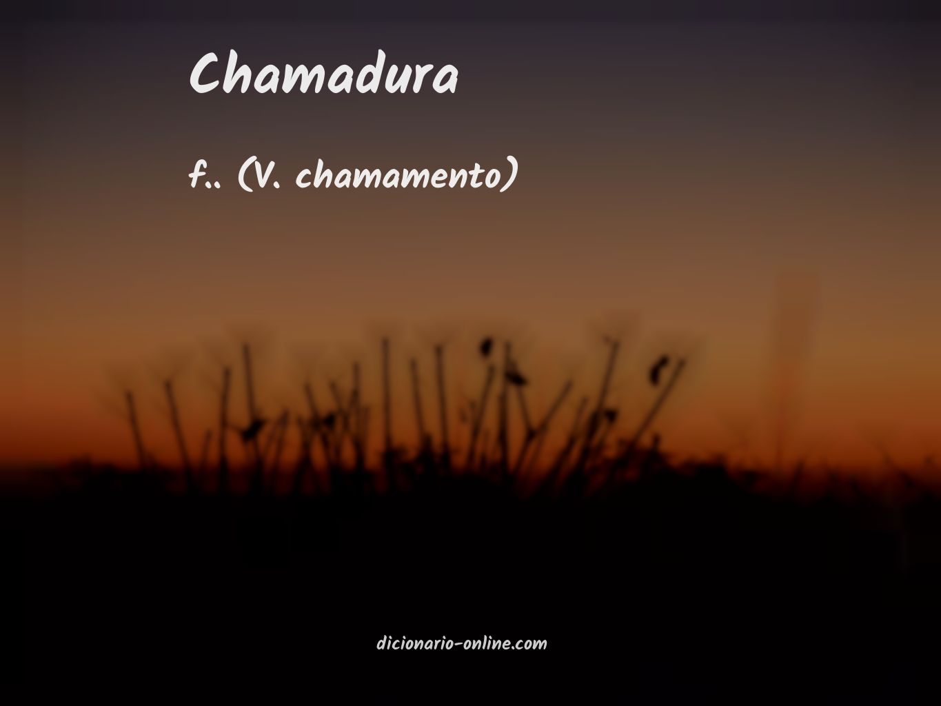 Significado de chamadura