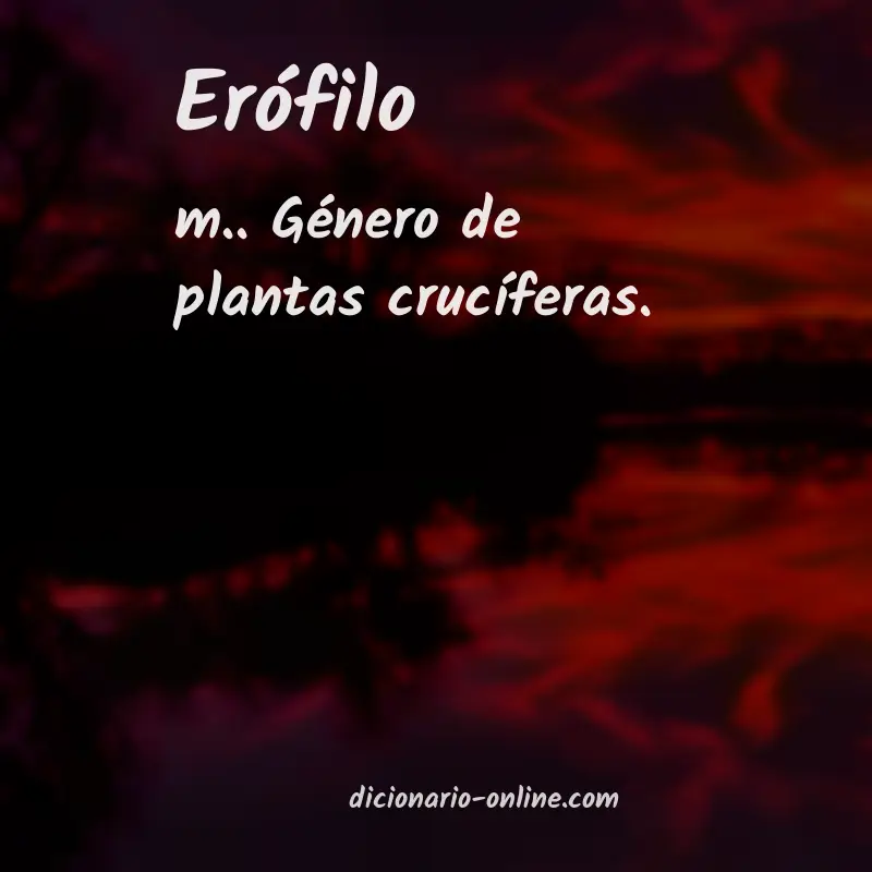 Significado de erófilo