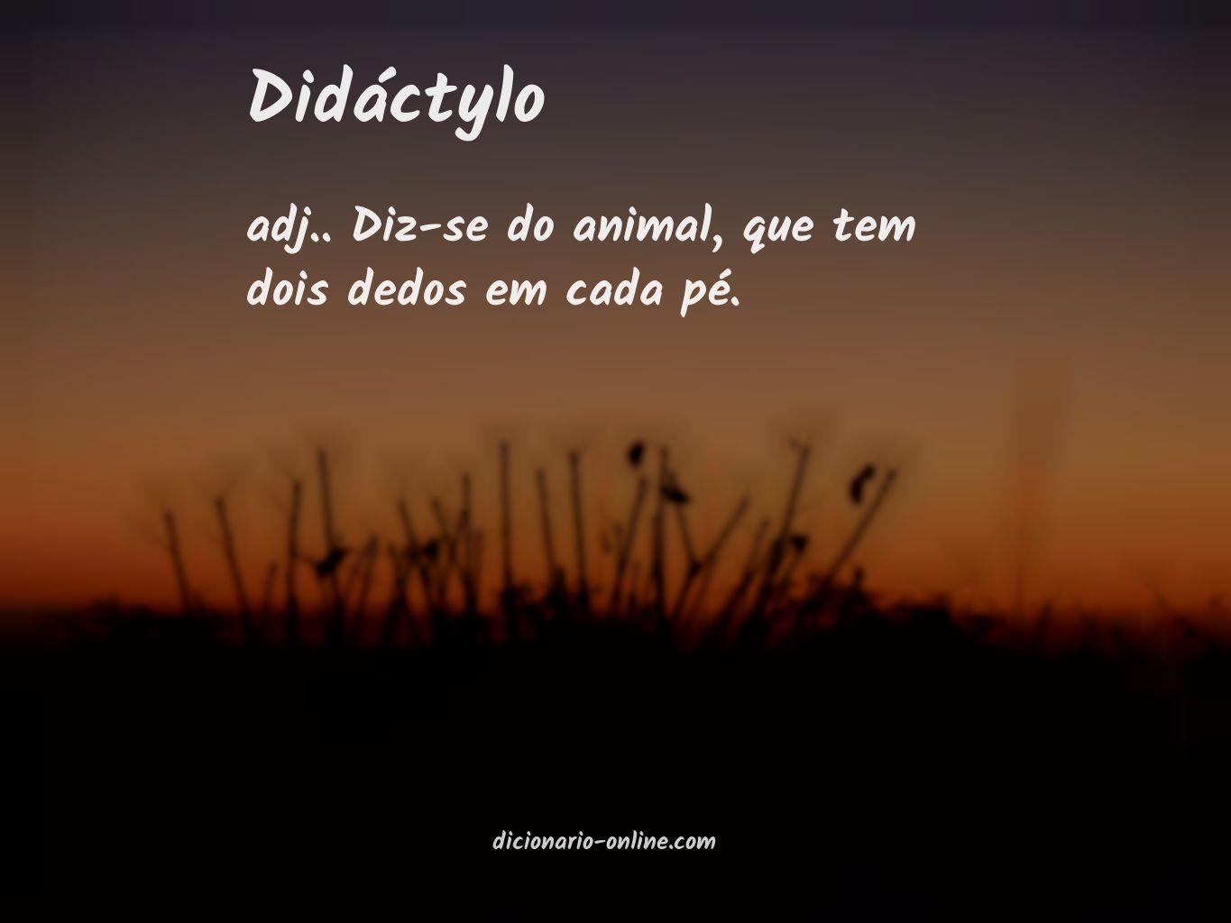 Significado de didáctylo