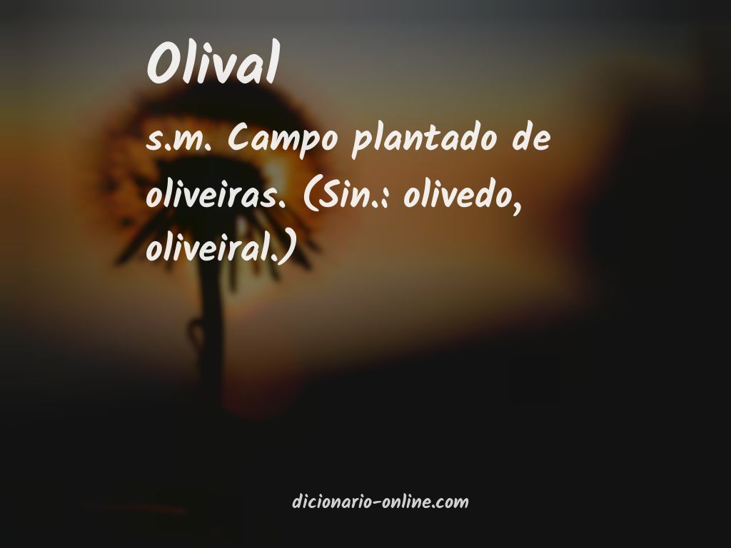 Significado de olival