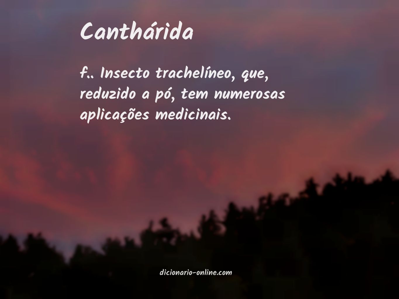 Significado de canthárida