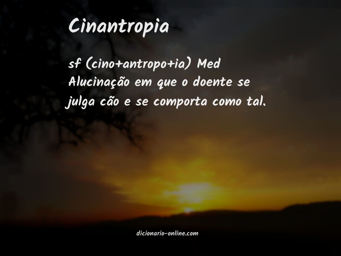 Significado de cinantropia