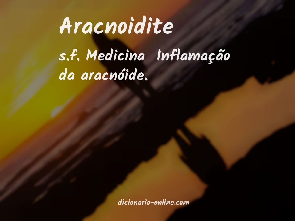 Significado de aracnoidite