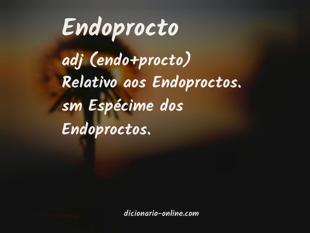 Significado de endoprocto