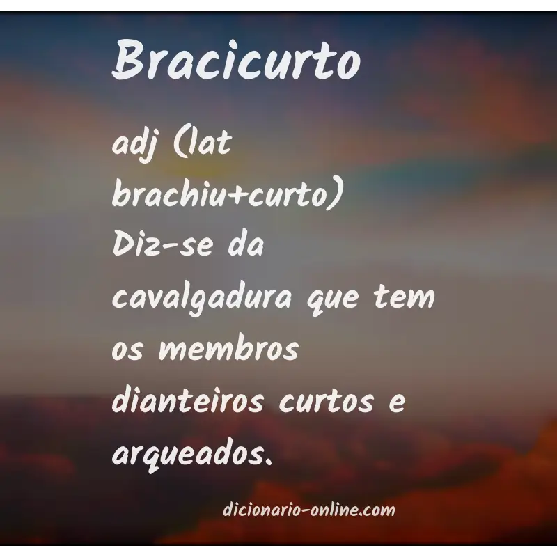 Significado de bracicurto