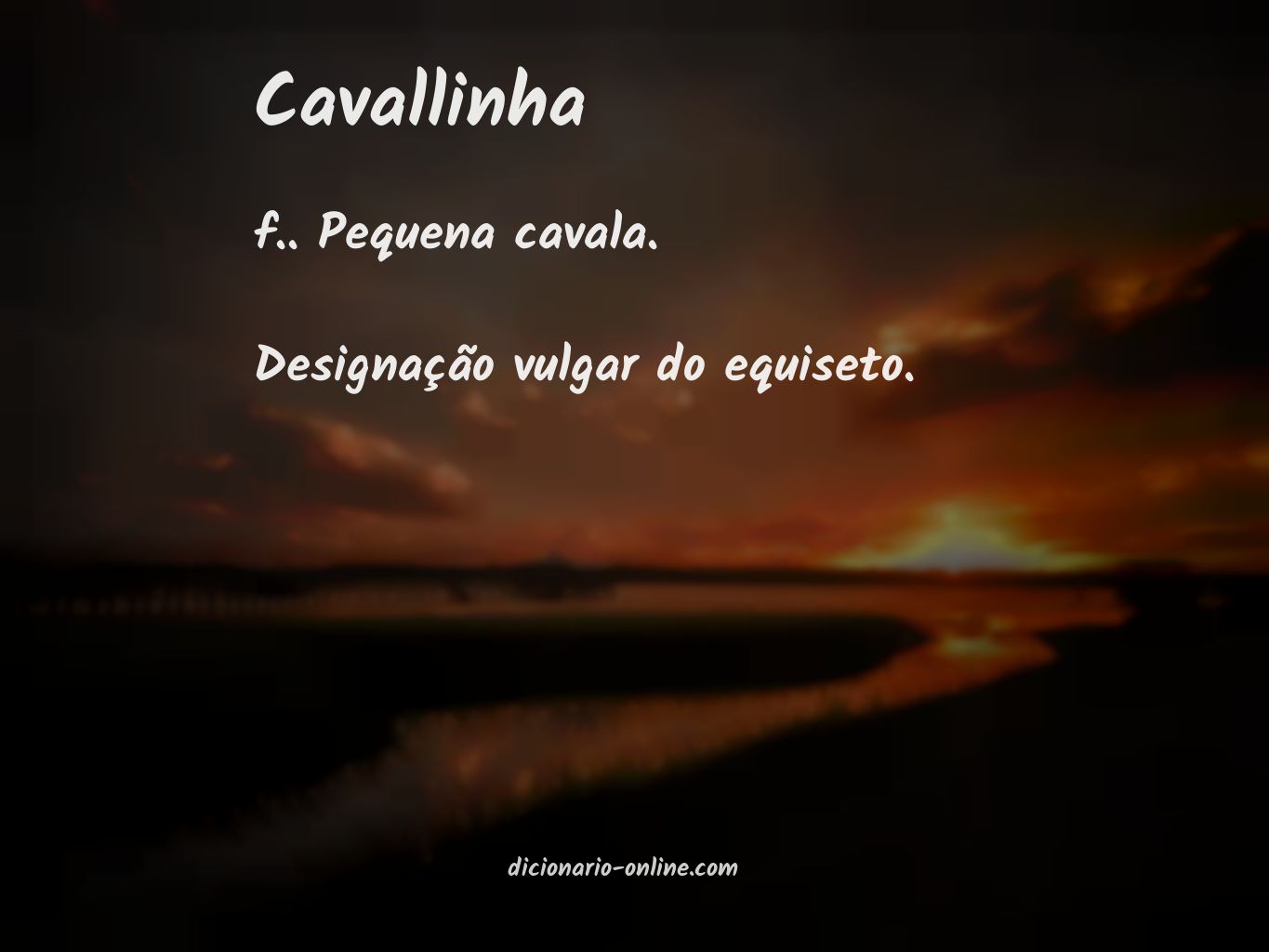 Significado de cavallinha