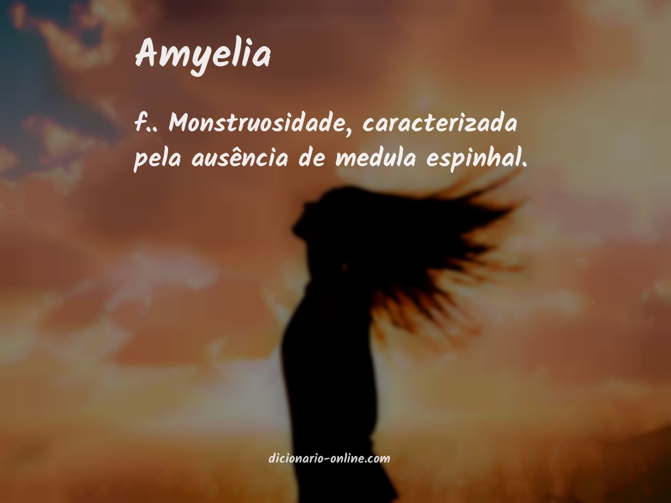 Significado de amyelia