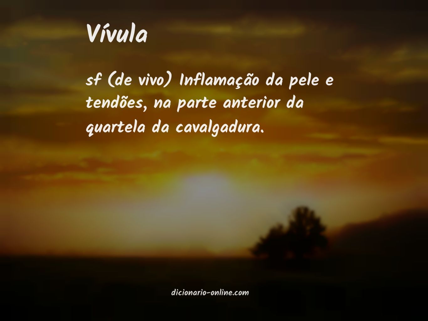 Significado de vívula