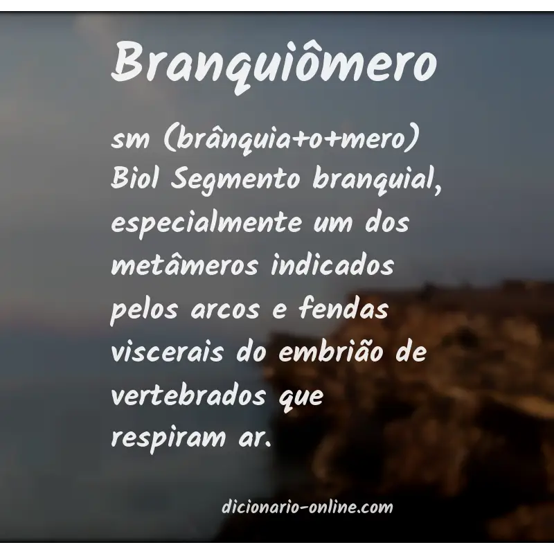 Significado de branquiômero