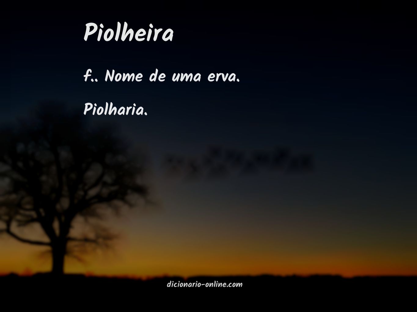 Significado de piolheira