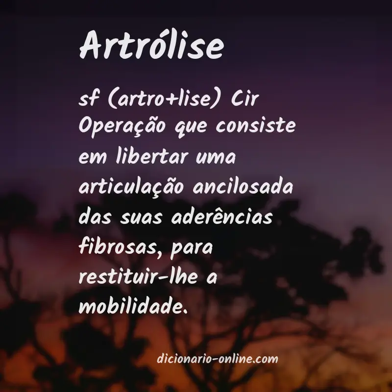 Significado de artrólise