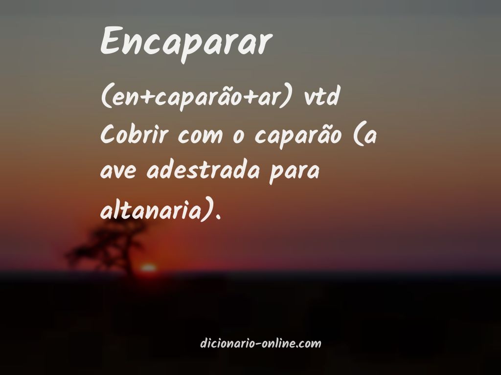 Significado de encaparar