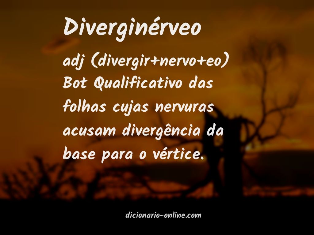 Significado de diverginérveo