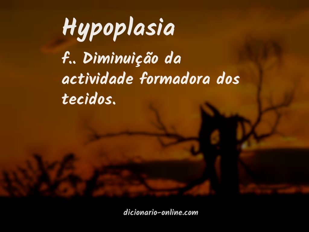 Significado de hypoplasia